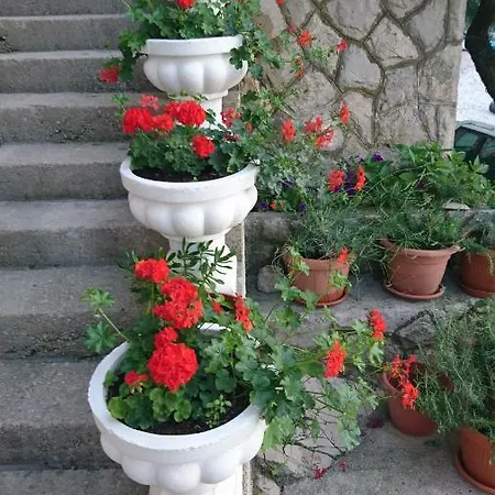 Boarding House Vide Gæstehus Bogomolje