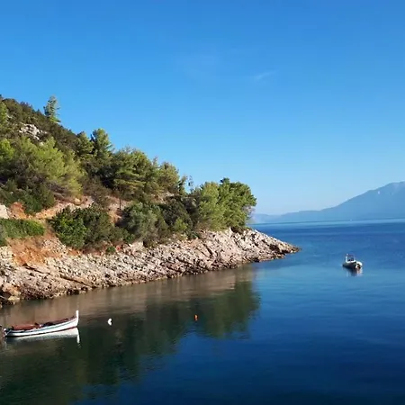 招待所 Boarding House Vide