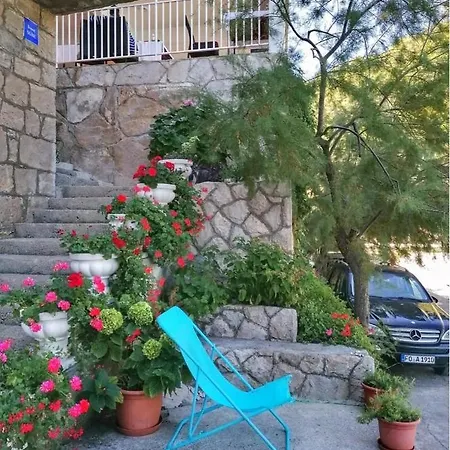 Boarding House Vide 3* Bogomolje