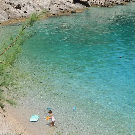 Boarding House Vide 招待所 3*